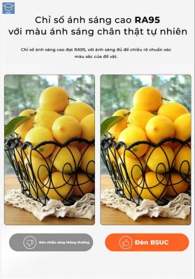 Chỉ số ánh sáng cao RA95