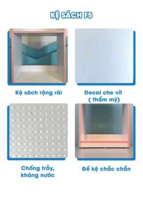 Chi tiết sản phẩm F5